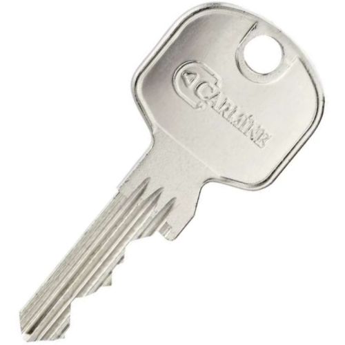 Clé plate CARMINE ALPHA WR 5G Decayeux laiton nickelé - 25000-…