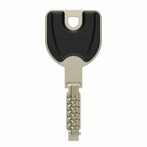 Cylindre européen RADIAL-R Vachette