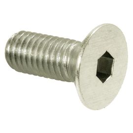 Vis Stremler pour pentures S171