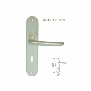 Ensemble Jacinthe Eurowale 195 mm clé L champagne