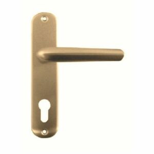 Ensemble sur plaque Bezault Mondial bout rond clé i entraxe 40 mm finition champagne - 1337/6317