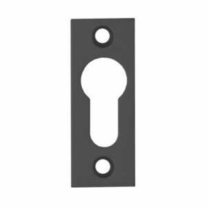 Entrée de clé Dom rectangle à visser pour cylindre européen aluminium noire – N048130004