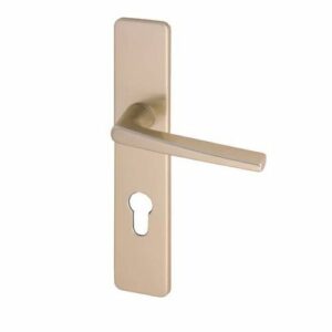 Jeu de plaque Vachette 6331 clé en I couleur champagne - 012551